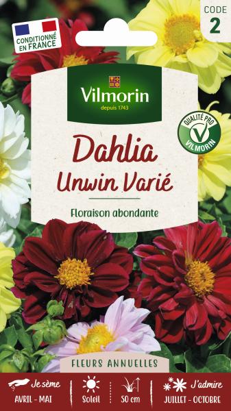 Fleurs - Dahlia Unwin Varié - PACKAGING_RECTO
